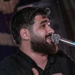 شد شد نشد میرم کربلا