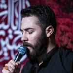 بی‌چاره‌م کرده کربلا