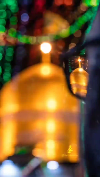 یا رضا گفتم و وا شد گره ها