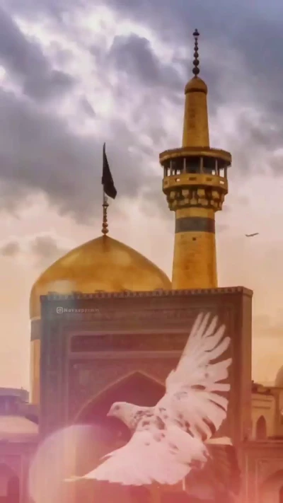 دلتنگ حرمم ...