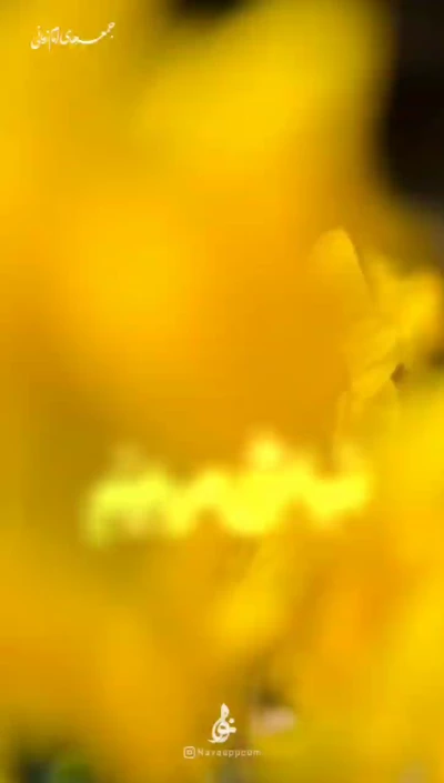 نباشی مریضم