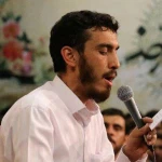 قبله‌ی دل بی قرارم جایی جز نجف علی نیست