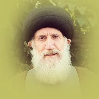 امام زمان (عج)