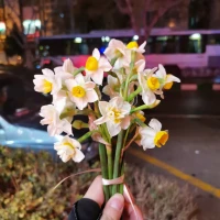 مریم اسدیان