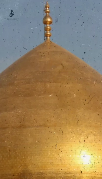 محتاج یک نگاتم