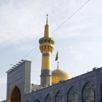 محب رضا