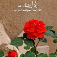 فاطمه زارع