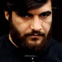 امیر حسین بیگدلی