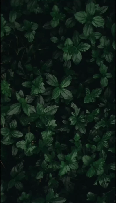 دعای روز بیستم