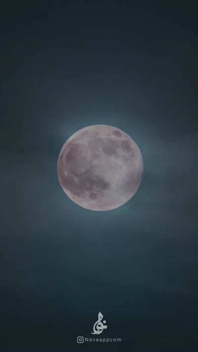 بازم مثل هرشب