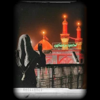 مجتبی داودی فرد