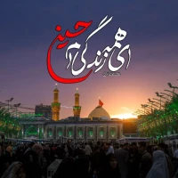 سامان دشتی