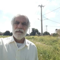 حمید شرفی