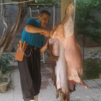 مرتضی چهارمحالی