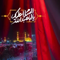 مرتضی کردی