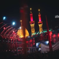 امیر حسین امیدی