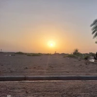 سیدعلیرضا رضوی