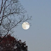 ابراهیم در آتش