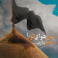 سید امیر حسین موسوی