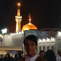 آرتین حسن زاده