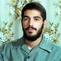 سرباز ۳۱۳