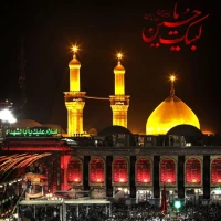 محمد یاسین