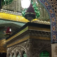 سید محمد حسین نظام الدینی