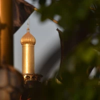 محمد طاها سمیعی