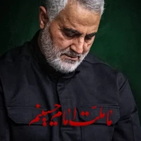 محمد حسین میاحی