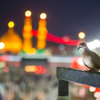 الهام فردوسیان