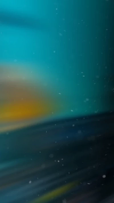 رویای زندگیم