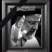 امیر علی محسنی فر