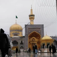 یا علی ابن موسی الرضا