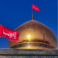 یا امیر المومنین