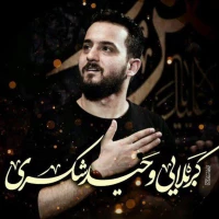 وحید شکری