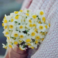 زهرا