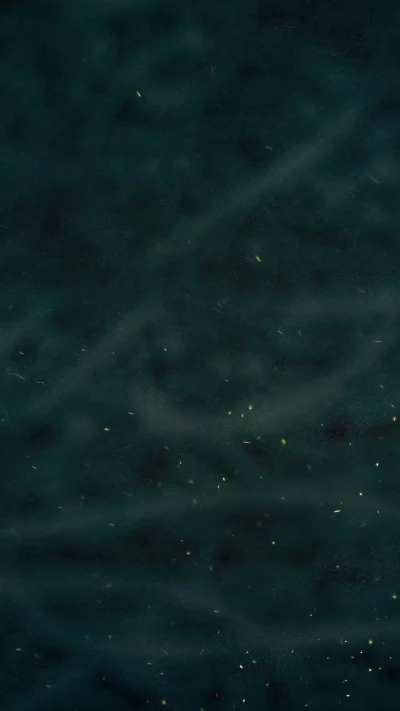 برده سوز و آه تو