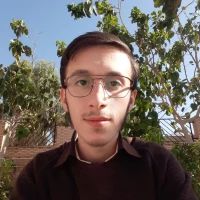 محمد جواد بهبودی