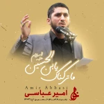 ما ترکناک یابن الحسین