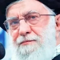 آرش شریعتی