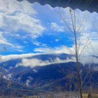 ریحانه