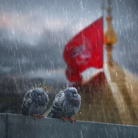 امیرعلی کاکاخانی