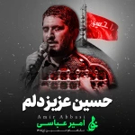 حسین عزیز دلم