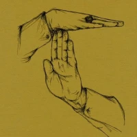 مائده سلطانی