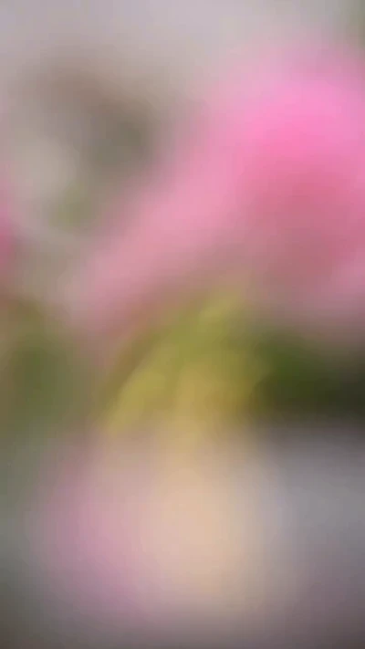 نجات دهنده‌ی عالم