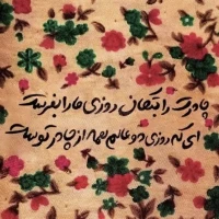 یا اباصالح المهدی ادرکنی