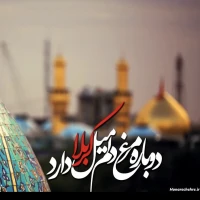 سید مهدی حجازی