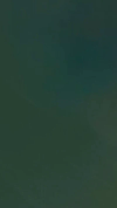 بیعت میکنم.....