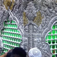 امیر حسین گرجی