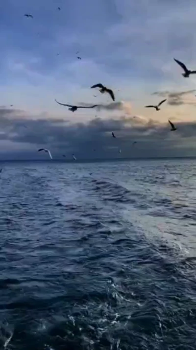 دعای روز اول رمضان - ابوذر بیوکافی